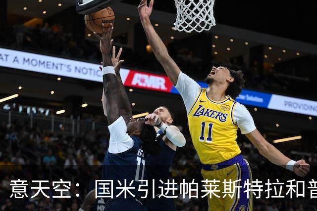 意天空：国米引进帕莱斯特拉和普罗维德尔遇阻，两人价格均超预期